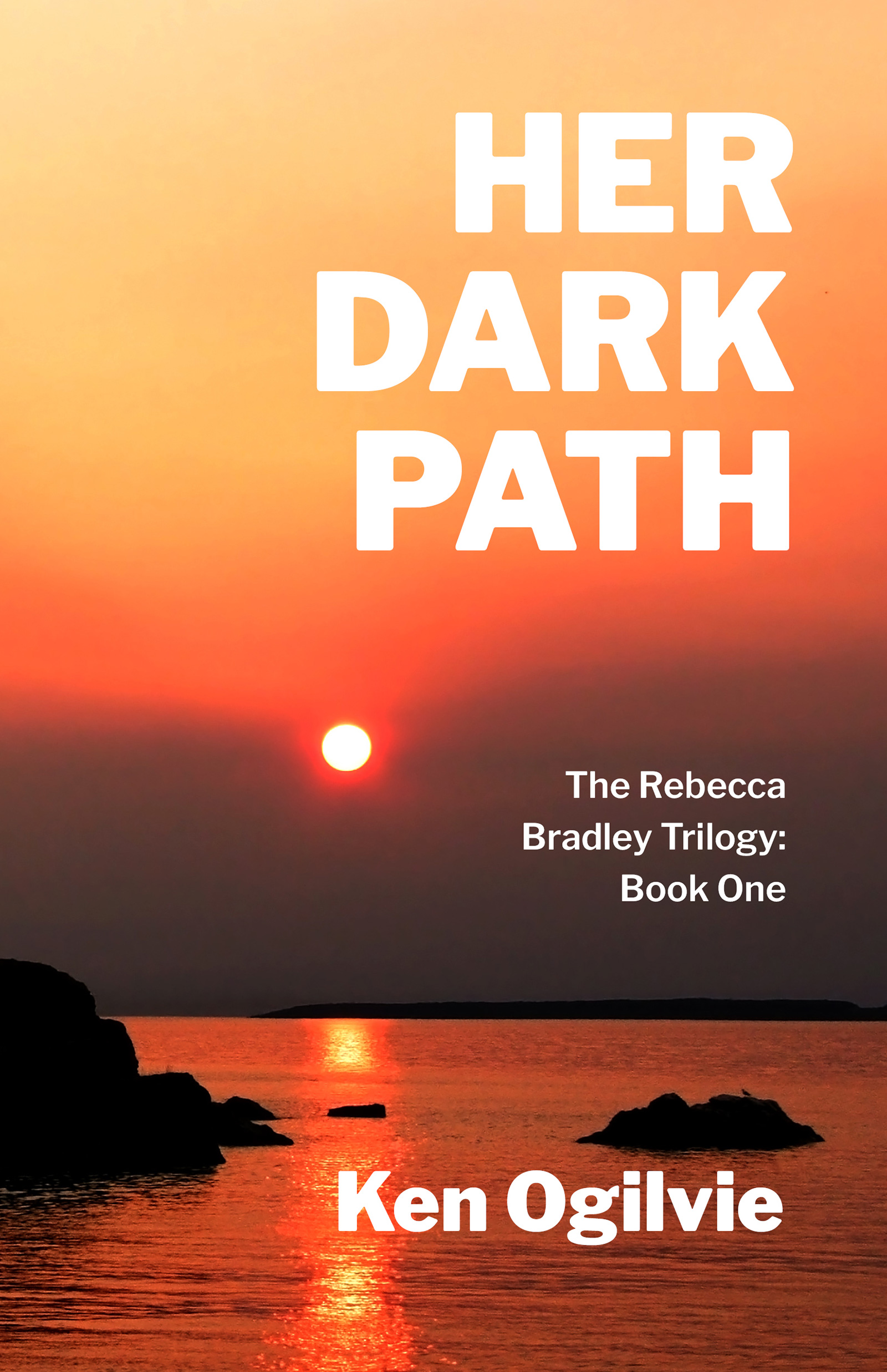 Her Dark Path book cover image